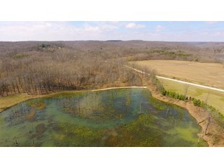 Property photo 27 - REAL ESTATE AUCTION - 1,013 ACRES IN 21 TRACTS IN MARTIN COUNTY, INDIANA